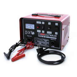 PROSTOWNIK 12V/24V 30A GZL30