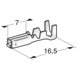 KOŃCÓWKA ŻEŃSKA 1705560