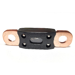 BZEPIECZNIK F-300A DO BOOSTER LEMANIAENERGY