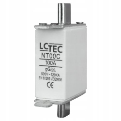 WKŁADKA BM WT-00/GG 100A ZWŁOCZNA