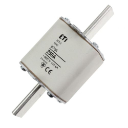 WKŁADKA BM WT-2/GG 250A G ZWŁOCZNA ETI