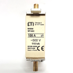 WKŁADKA BM WT-00C 100A GG ZWŁOCZNA WĄSKA ETI